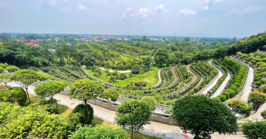 成都东面哪些公墓有节地生态葬：壁葬、草坪葬、树葬、花坛葬？